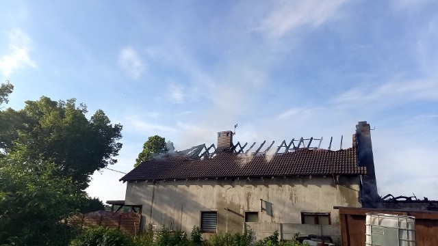Dwa budynki mieszkalny i gospodarczy stanęły w ogniu we wtorek, 29 czerwca, w Zielonej Górze Kiełpinie. Z ogniem walczyło 11 zastępów straży pożarnej. Jak informuje st. kpt. Arkadiusz Kaniak , oficer prasowy zielonogórskiej straży pożarnej, ogień objął dwa budynki położone obok siebie. Budynek gospodarczy spłonął doszczętne, w mieszkalnym spaliło się poddasze. Na szczęście nikt nie został poszkodowany. Nie było też zagrożenia dla innych budynków.Prawdopodobnym źródłem pożaru była kotłownia. Ostatnie zdanie będzie należało jednak do biegłego z dziedziny pożarnictwa.Wideo: Pożar tartaku w Niedoradzu Czytaj też: To było piekło na ziemi! Pożar w lesie koło Cybinki postawił na nogi strażaków i leśników