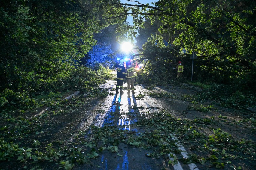 Usuwanie skutków nawałnicy w Dębicy. 26 sierpnia nawałnica...