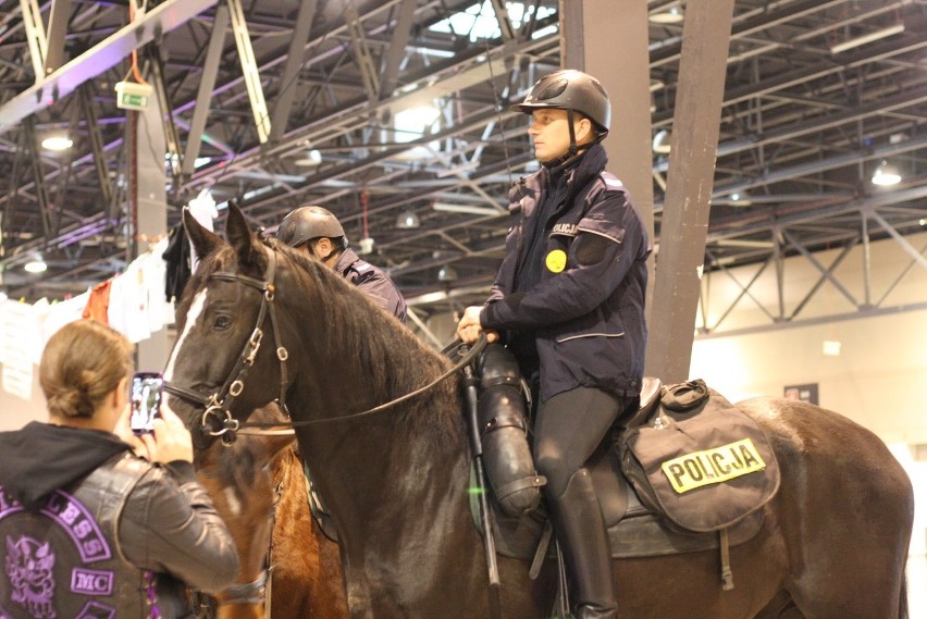 Gramy dla Julki. Impreza charytatywna w Expo Silesia