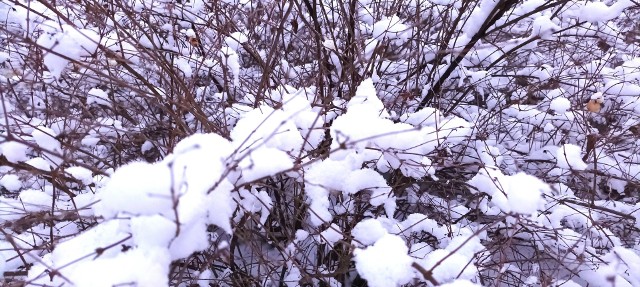 Takich obrazków spodziewajmy się od pierwszych dni nowego roku. Najpierw jednak czekają nas spore opady deszczu