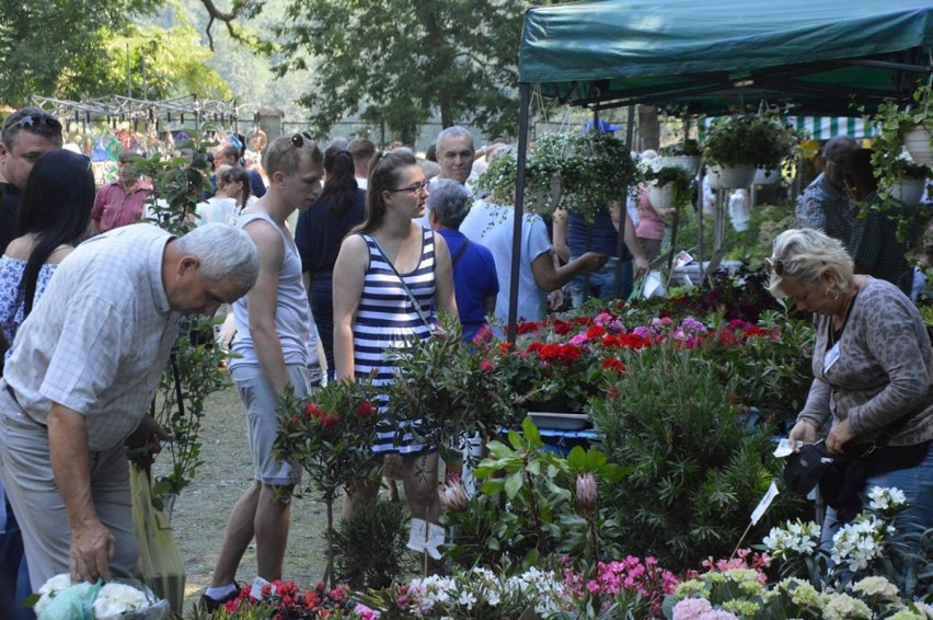 Kościerzyńskie targi, to także mnóstwo wydarzeń...