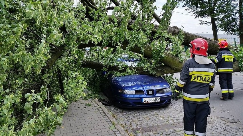 W Lublińcu drzewo upadło na samochód. Na szczęście nikogo...