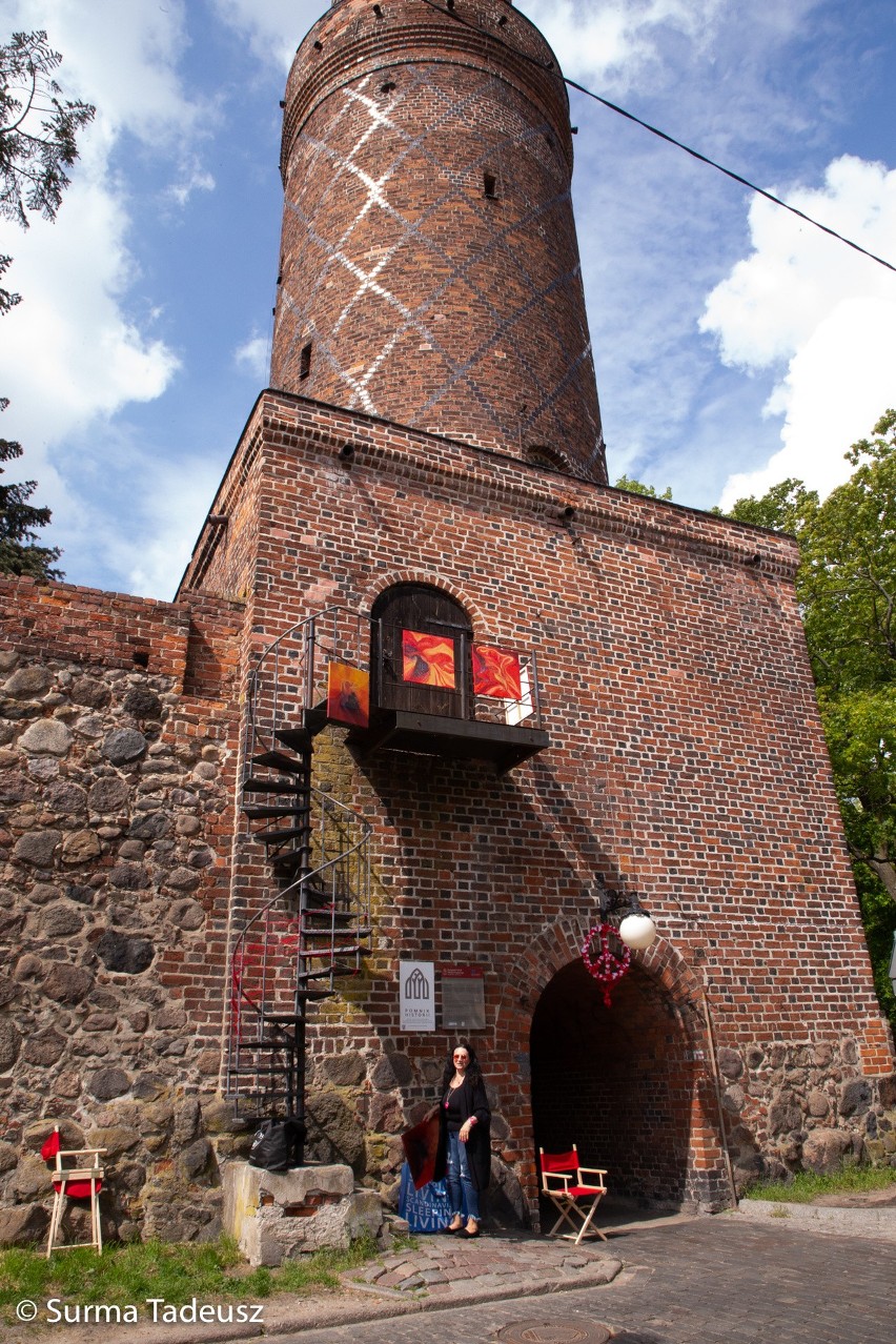 ArtFestiwal Stargard 2019 w obiektywie Tadeusza Surmy. Dzień drugi, część I