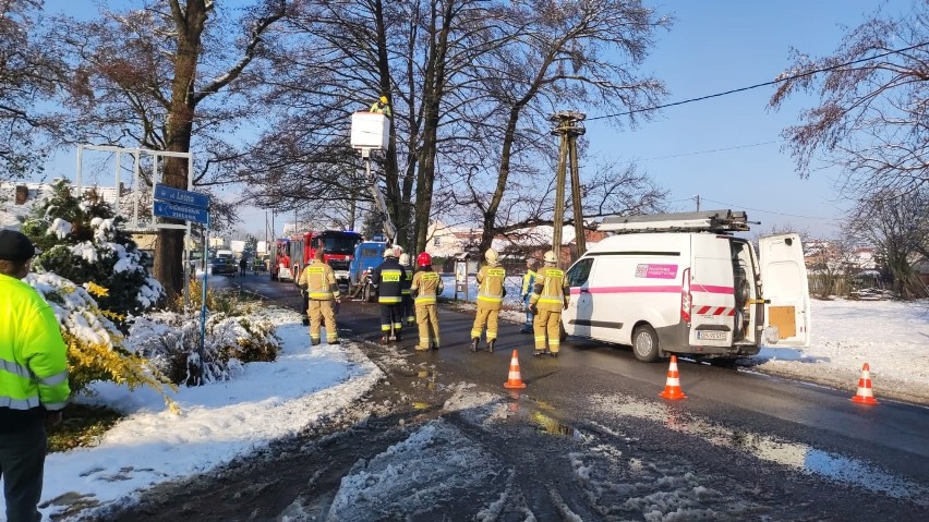 Kotórz Mały. Zerwane konary uszkodziły linię energetyczną.