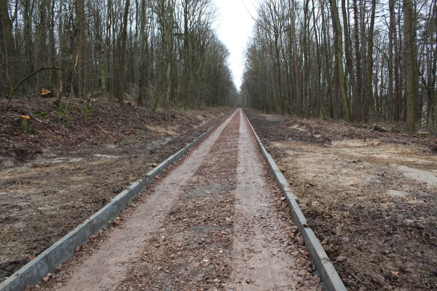 Budowa ścieżki w lesie Chodówki