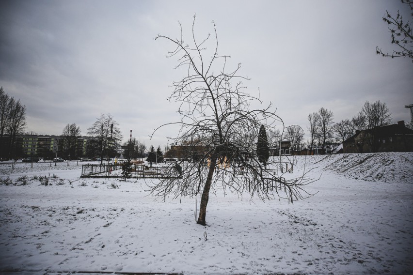 Klimatyczne Szopienice w obiektywie Marzeny Bugały,...