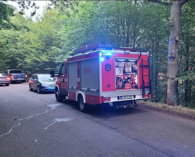 Wypadek wydarzył się na lokalnej drodze między Nowinami Wielkimi a Starymi Dzieduszycami.