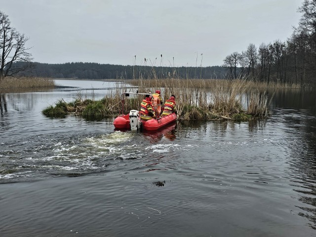 Nietypowa akcja OSP Trzciel.