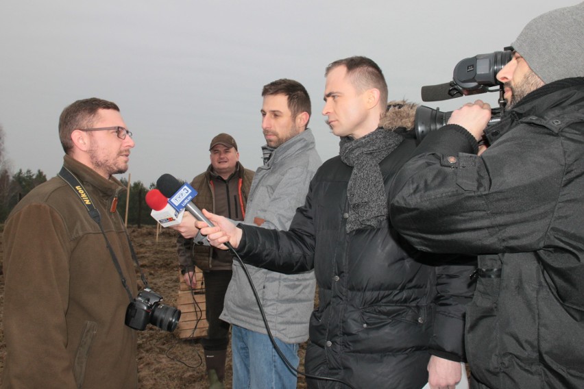 Wypuszczanie zajęcy z woliery Wojskowego Koła Łowieckiego w...