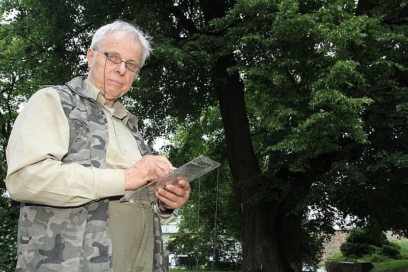 Profesor Marek Siewniak badał stan lipy w Kielcach