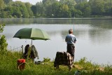 Kalendarz brań ryb na październik 2019 r. Kiedy warto wybrać się na ryby? Sprawdź kalendarz wędkarski