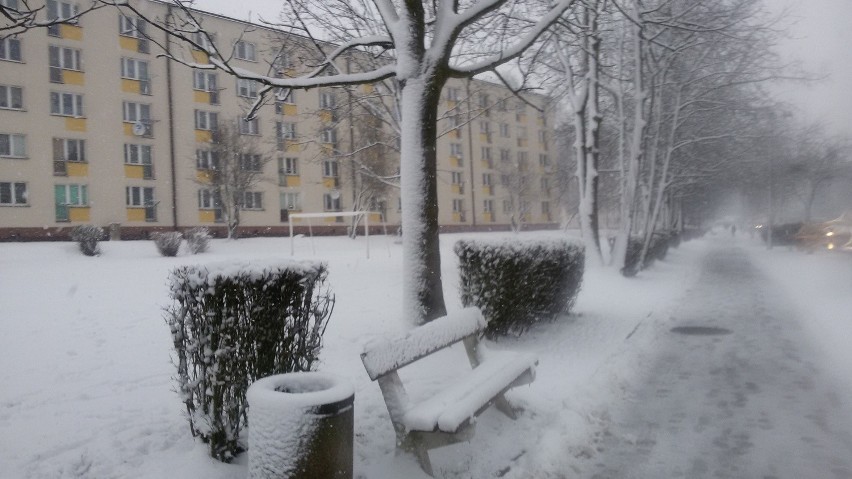 Jastrzębie: Śliska nawierzchnia, miasto zasypane śniegiem