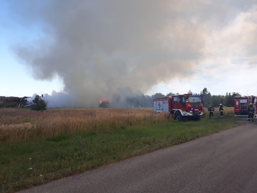 Pożar przy autostradzie A1 koło Łodzi.