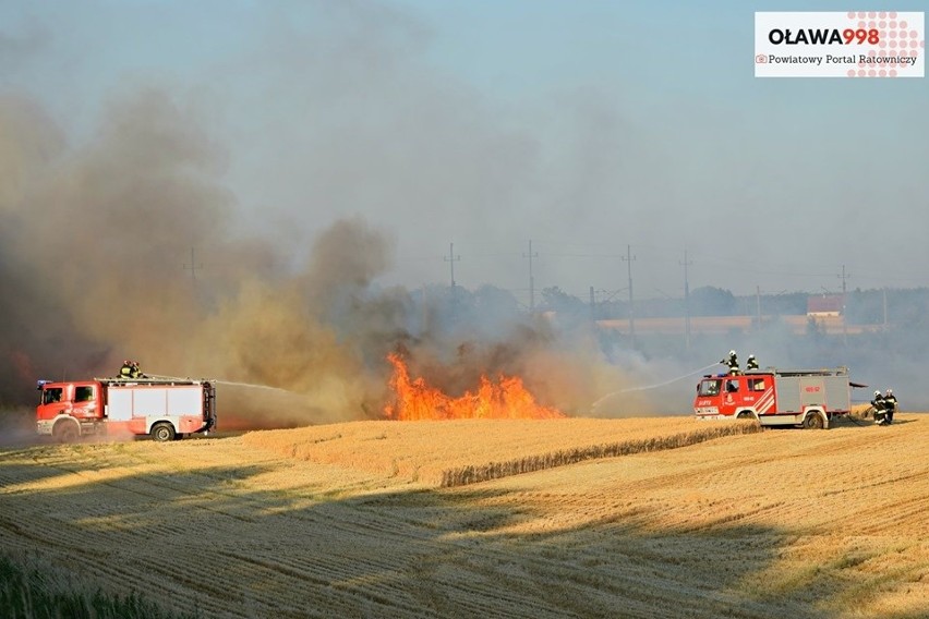 Potężne pożary zbóż na polach pod Wrocławiem 