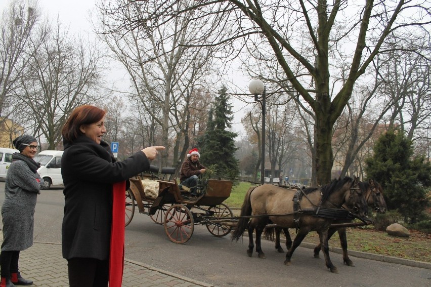 Mikołajkowy korowód w Głogowie [Zdjęcia]