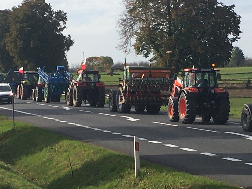 Protest rolników koło Opatowa. Traktory na trasie [ZDJĘCIA]