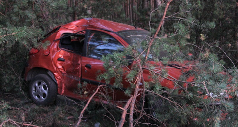 Wypadek Pod Zieloną Górą. Peugeot 206 Uderzył W Drzewo. Kobietę I Dziecko Zabrało Pogotowie | Gazeta Lubuska