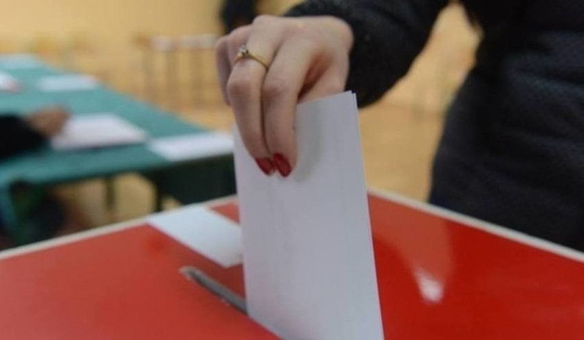 Wybory 2019. Godziny głosowania, zasady, jak głosować. Jak znaleźć lokal wyborczy? Jakie dokumenty zabrać?