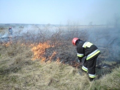 Od początku roku strażacy z Opolszczyzny mieli już 100 takich wezwań.