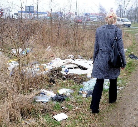 Jeszcze miesiąc, a zrobi się prawdziwa, ciepła, wiosna. A wówczas wszystkie śmieci, w tym resztki żywności na opakowaniach zaczną się rozkładać. Wtedy smród dotrze do okien domów pobliskiego osiedla.