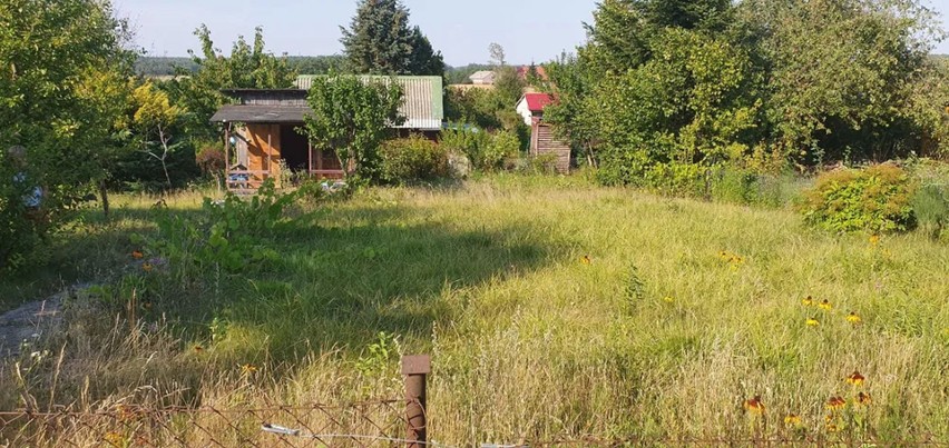 ROD Witunia, Więcbork  - 25 000 zł, powierzchnia: 450 m²....