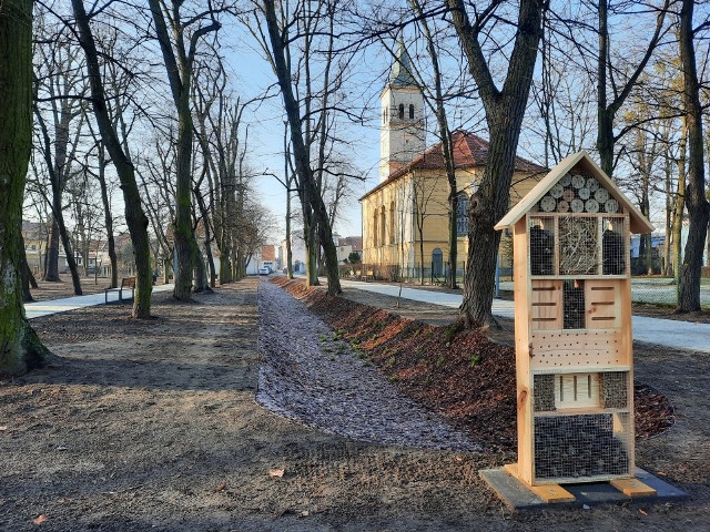 Centrum Ochrony Bioróżnorodności, czyli odnowiony park miejski w Oleśnie.