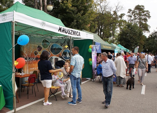 Dyrekcja i pracownicy Nadgoplańskiego Parku Tysiąclecia w Kruszwicy zaprosili mieszkańców regionu do udziału w festynie ekologicznym "Lato w Parku". Ta cykliczna impreza, jak zwykle, przyciągnęła pod Mysią Wieżę wiele osób. Odwiedzano stoiska z rękodziełem, miodem i regionalnym jadłem. Niespodzianki czekały na przybyłych pod namiotami Nadgoplańskiego Parku Tysiąclecia, Nadleśnictwa Miradz i Powiatu Inowrocławskiego. Na scenie prezentowały się lokalne zespoły, sokolnicy i gawędziarz. Każdy kto przybył na imprezę z odpowiednią liczbą zużytych baterii lub plastikowych nakrętek, miał okazję wymienić je na drzewka.