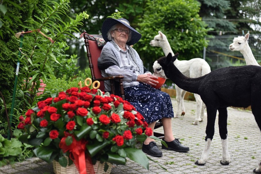 Mimo swoich 100 lat, jubilatka samodzielnie się porusza,...