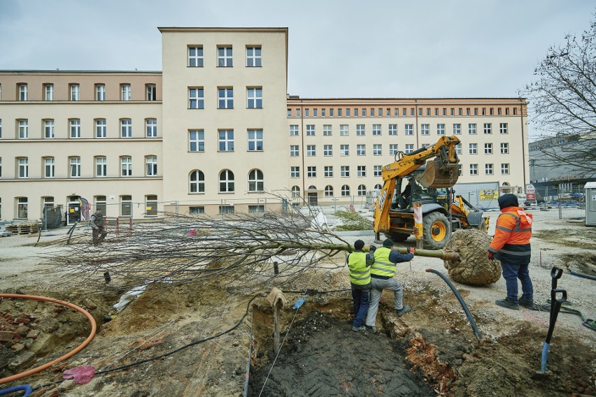 Na Pasażu Schillera w Łodzi rusza sadzenie drzew. Wiemy co się tu pojawi. Zobaczcie zdjęcia
