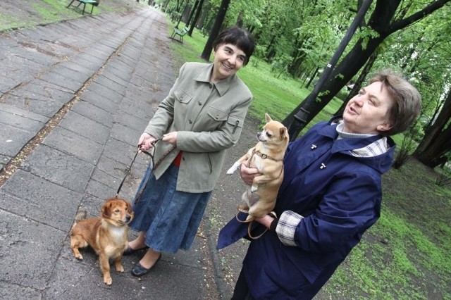 - W tym roku mamy plagę kleszczy - mówią Barbara Mikulska właścicielka Tofika (od lewej) i Bożena Sulima pani Jawy. 