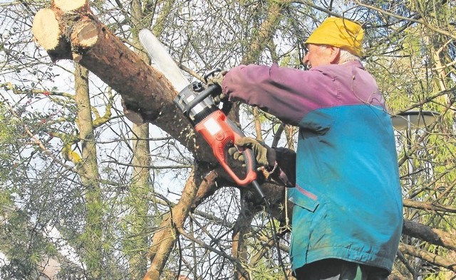 Wbrew pozorom we własnym ogródku nie możesz ściąć drzewa bez zgody wysokich władz