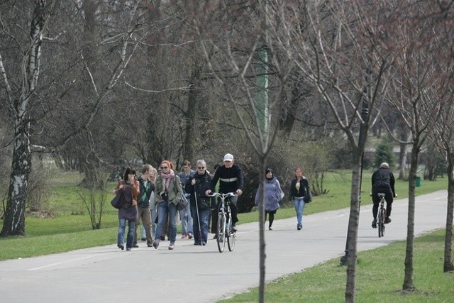 Park Śląski