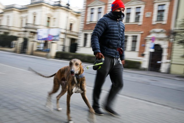 zdjęcie ilustracyjne