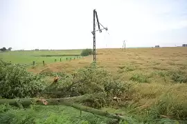 Niszczycielska burzy w woj. kujawsko-pomorskim. Powalone drzewa, uszkodzone budynki [zdjęcia] Express Bydgoski