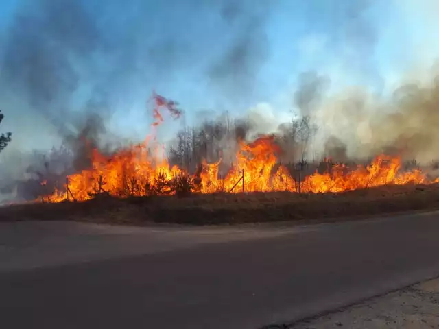 Tak wielki ogień rozniecił się w niecałą minutę. Zobacz, jak powstawał na kolejnych slajdach>>> 