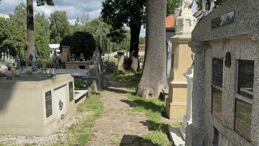 Czy montaż kamery monitoringu przy cmentarzu w Brzesku ukrócił akty wandalizmu na zabytkowych nagrobkach?