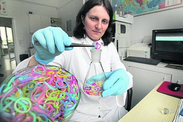 W laboratorium przy Instytucie Przemysłu Skórzanego w Łodzi na obecność ftalanów badane są gumki do produkcji bransoletek, które pochodzą od importerów. Ftalany znaleziono w zawieszkach.