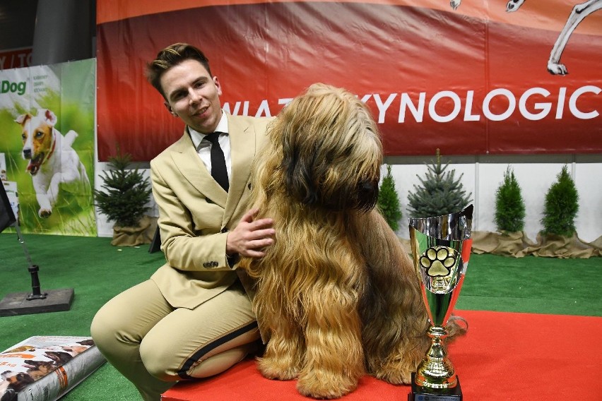 Diego, owczarek francuski najpiękniejszym psem wystawy w Kielcach 