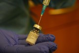Do Polski dotarł kolejny transport szczepionek przeciwko koronawirusowi