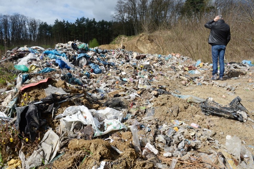 Śmieci w dawnej kopalni żwiru w Górzykowie