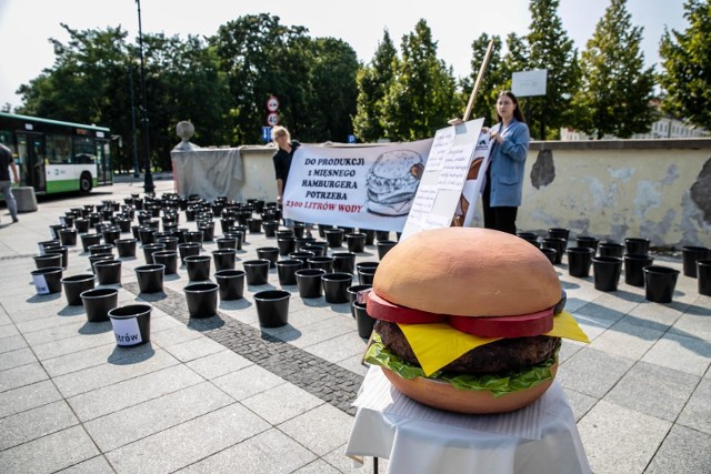 Na chodniku obok bramy pałacowej stanęły wiaderka i wielki burger.