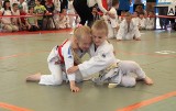 XXV Ogólnopolski Turniej Judo w Dąbrowie za nami. Sprawdź wyniki