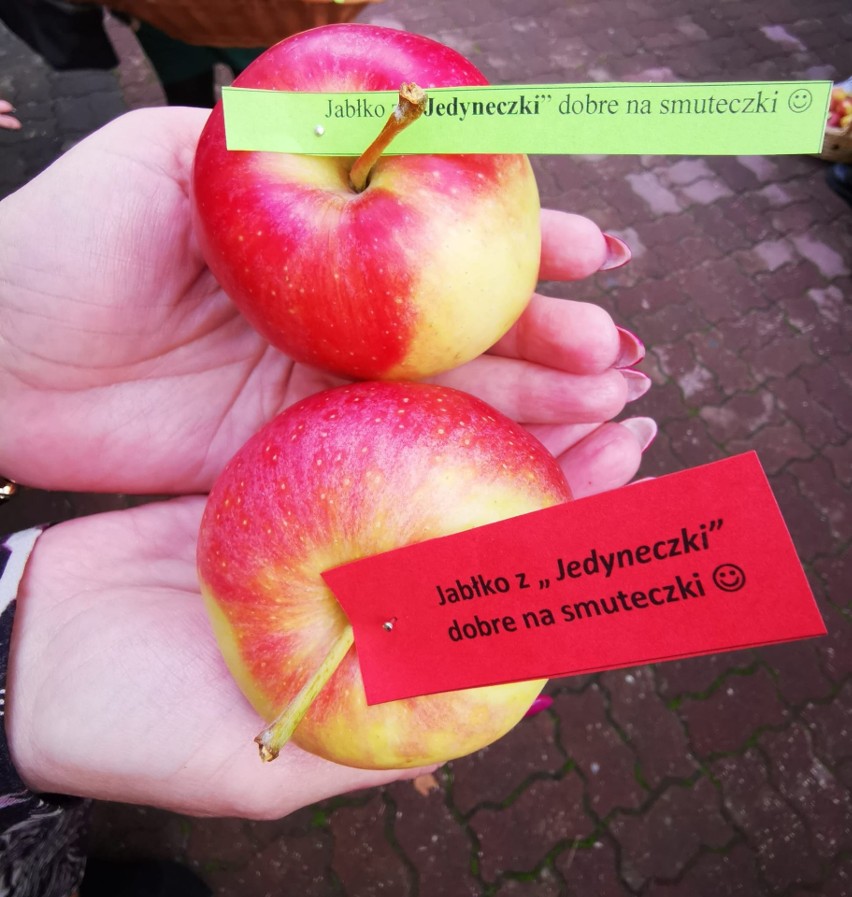 Smaczny Dzień Jabłka w Szkole Podstawowej numer 1 w Pionkach i odwiedziny dzieci z jabłkami u burmistrza. Zobaczcie zdjęcia