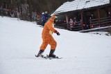 Stacja narciarska w Cisowej przeżywa oblężenie. Tłumy turystów na stoku ZDJĘCIA
