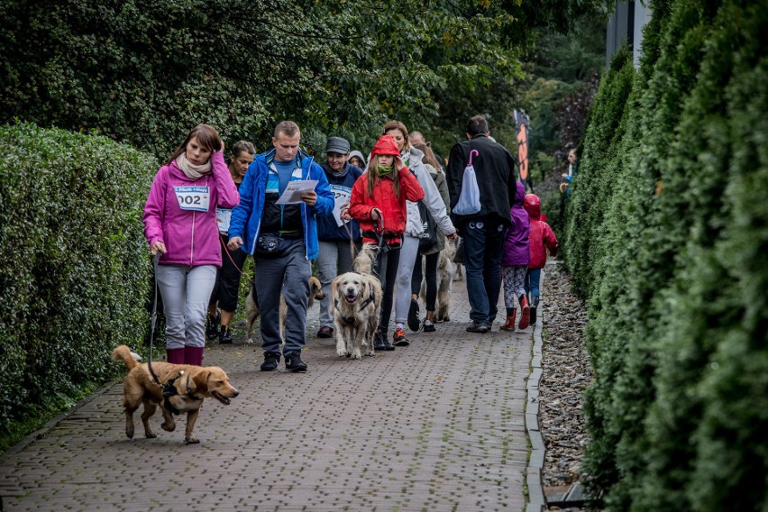 Dąbrowa Górnicza: piknik rodzinny +4 łapy. Psy w roli głównej! Wasze zdjęcia z pupilami