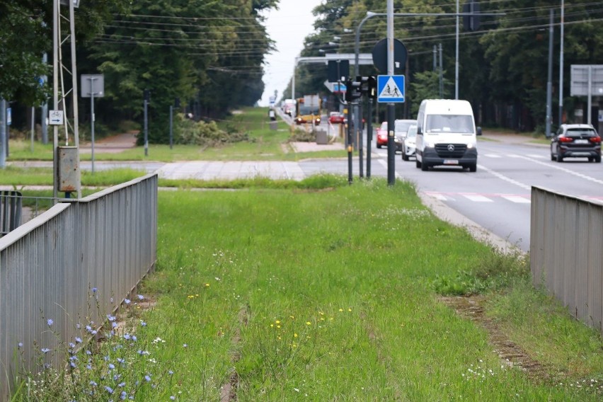 Tramwaj pojedzie z Łodzi do Konstantynowa po nowych szynach