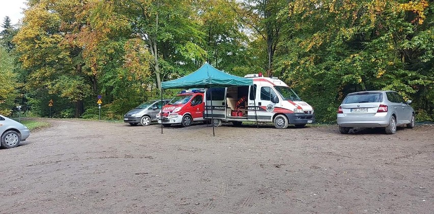 Tragiczne grzybobranie. W Markuszowej odnaleziono ciało poszukiwanego grzybiarza [ZDJĘCIA]