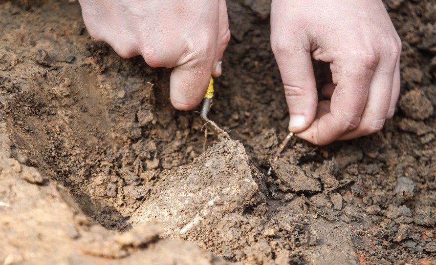 Archeolodzy będą się starali o kolejne dofinansowania z...