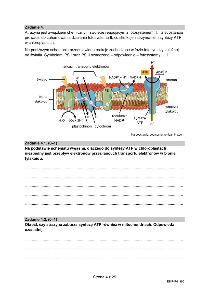 Matura z biologii - odpowiedzi