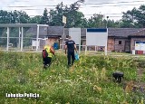 Policjanci z Krosna Odrzańskiego pomogli starszej kobiecie. 83-latka z powiatu zielonogórskiego zgubiła się w lesie w rejonie Pliszki